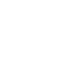 Logo Rapid Plus